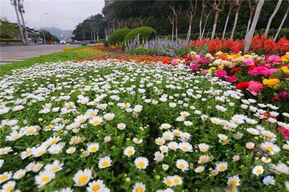 重庆执法机构“七合一”！&nbsp;市城市管理综合行政执法总队揭牌