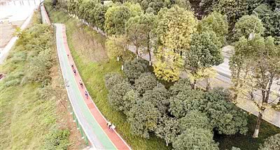 全市首条沿江自行车道&nbsp;在巴南区正式建成开放
