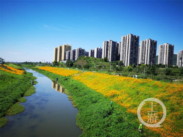 重庆24类78项建设项目&nbsp;即日起不纳入环评管理