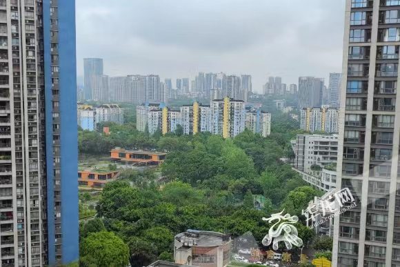 “开门红”&nbsp;1—3月重庆交通建设累计完成投资219.2亿元