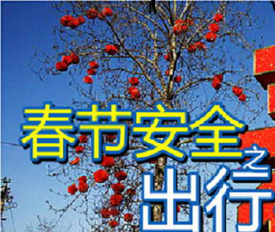 预计2024年春运全市铁公水空客运量将达3090万人次&nbsp;重庆多举措保障群众出行需求